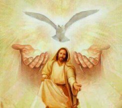 Divine Will Divine Love - Telegram Channel